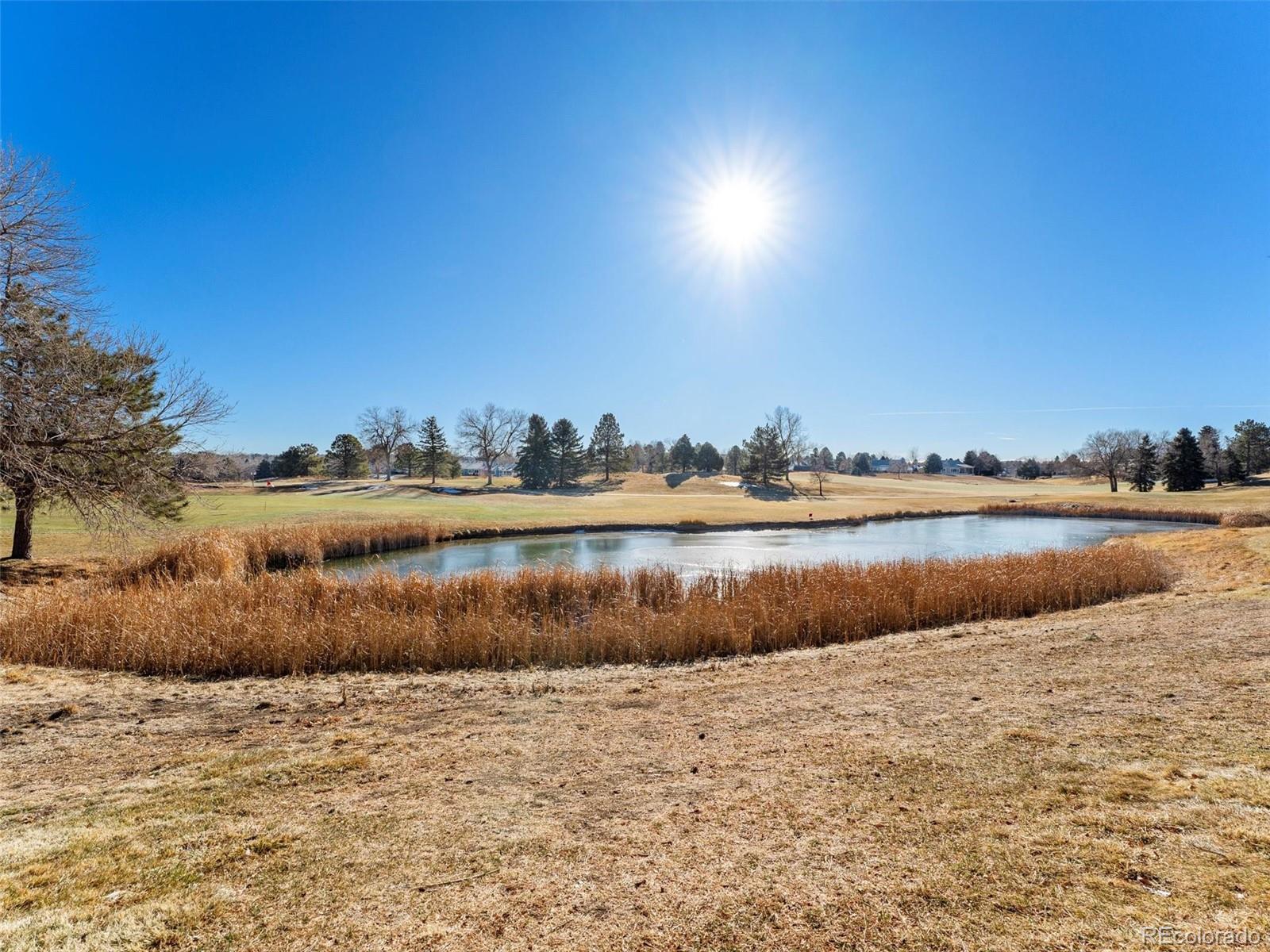 30 Canongate Lane Highlands Ranch, CO 80130 - Photo 43 of 43