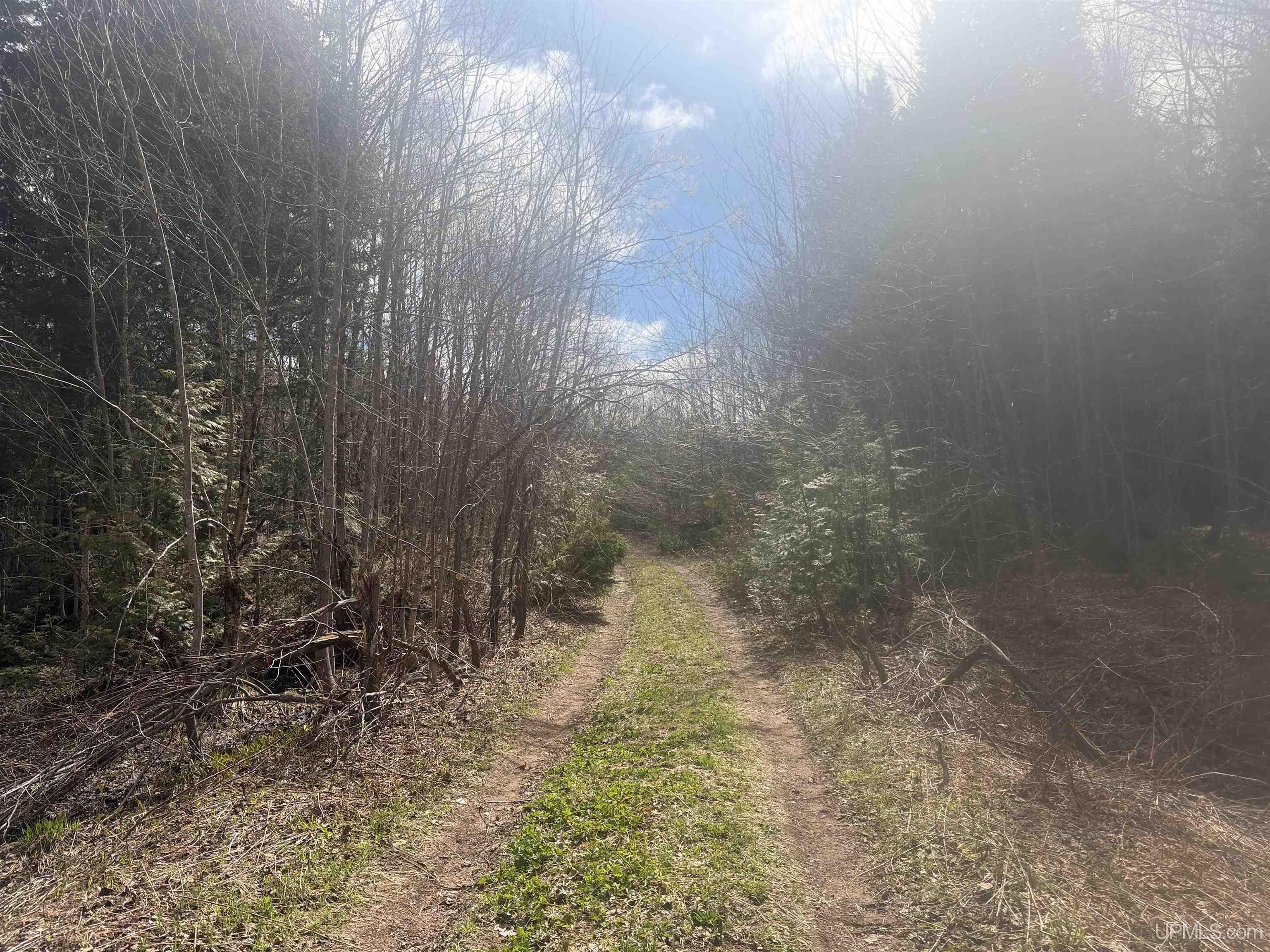Off Black River Road Ironwood, MI 49938 - Photo 27 of 31