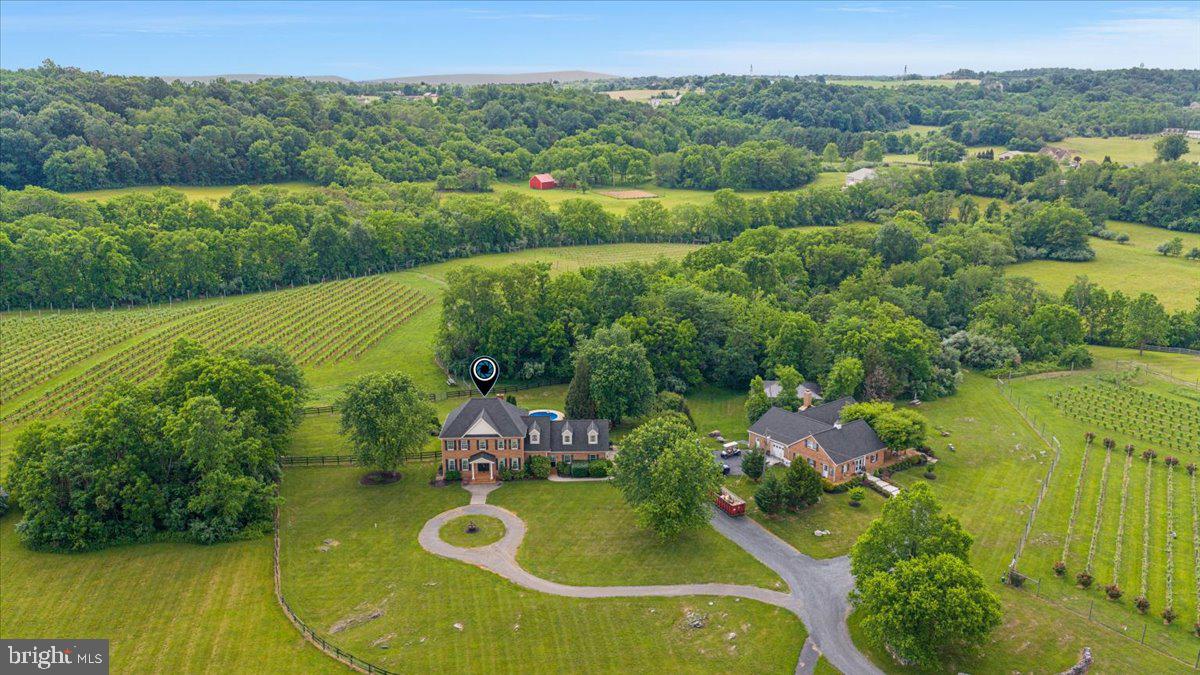 450 Green Spring Road Winchester, VA 22603 - Photo 61 of 66 Briede Family Vineyards