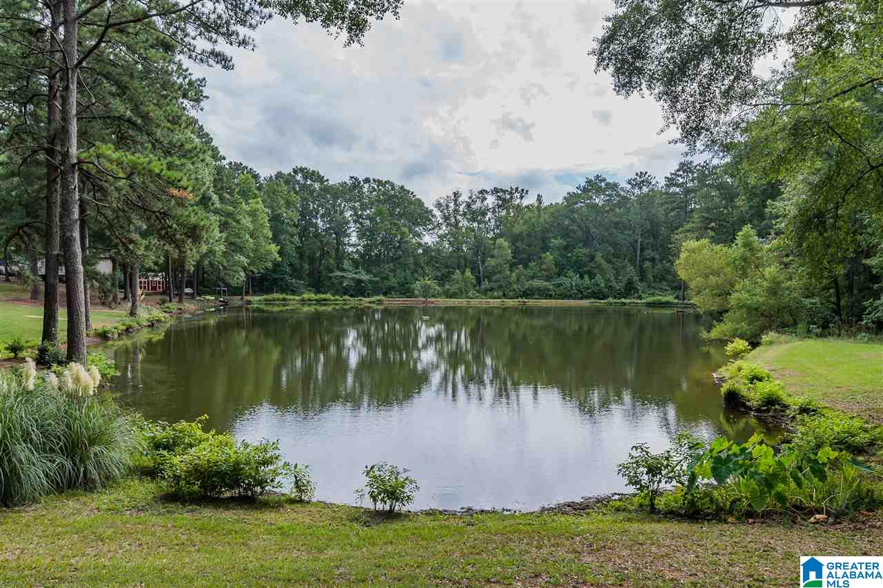 4425 Camp Coleman Road Trussville, AL 35173 - Photo 48 of 50