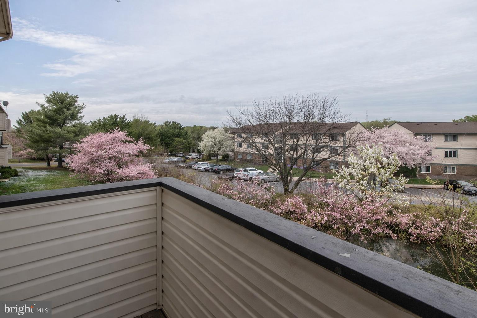 19525 Gunners Branch Road, Unit 222 Germantown, MD 20876 - Photo 12 of 15 Spring time view from private balcony