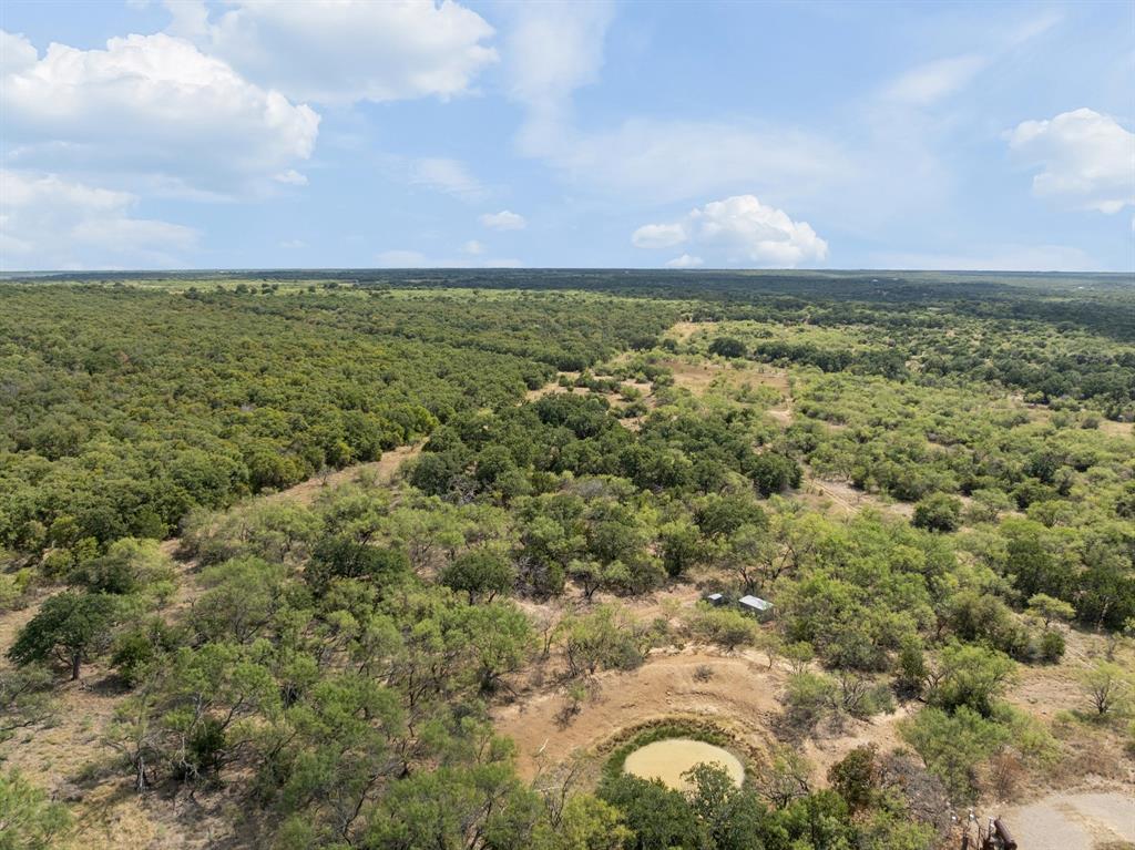 11097 County Road 137 Ranger, TX 76470 - Photo 37 of 40 Expansive natural landscape with varied tree coverage, a natural water feature, and a clear sky backdrop