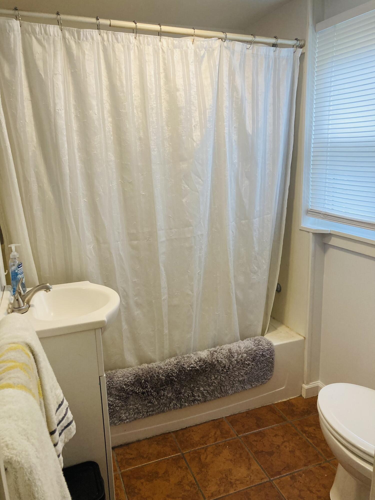 709 Roe Street Buchanan, MI 49107 - Photo 12 of 19 Bathroom