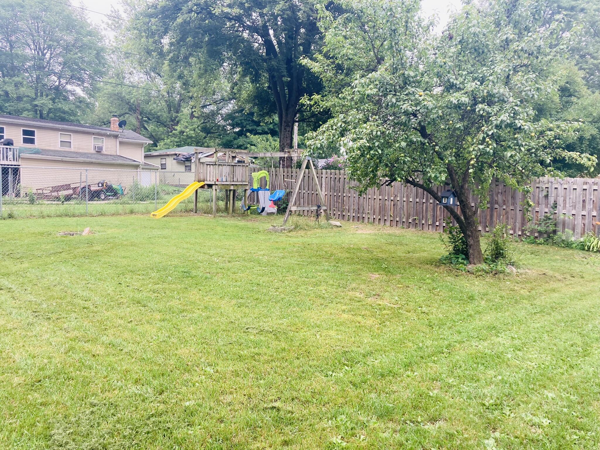 709 Roe Street Buchanan, MI 49107 - Photo 16 of 19 Fruit Tree