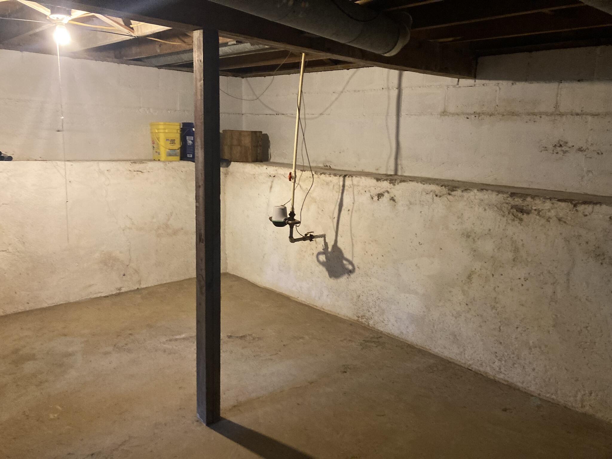 709 Roe Street Buchanan, MI 49107 - Photo 18 of 19 Basement