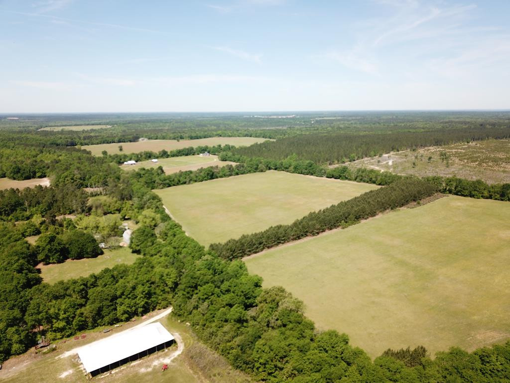 Tbd Tbd Dixie Road South Wagener, SC 29164 - Photo 6 of 25
