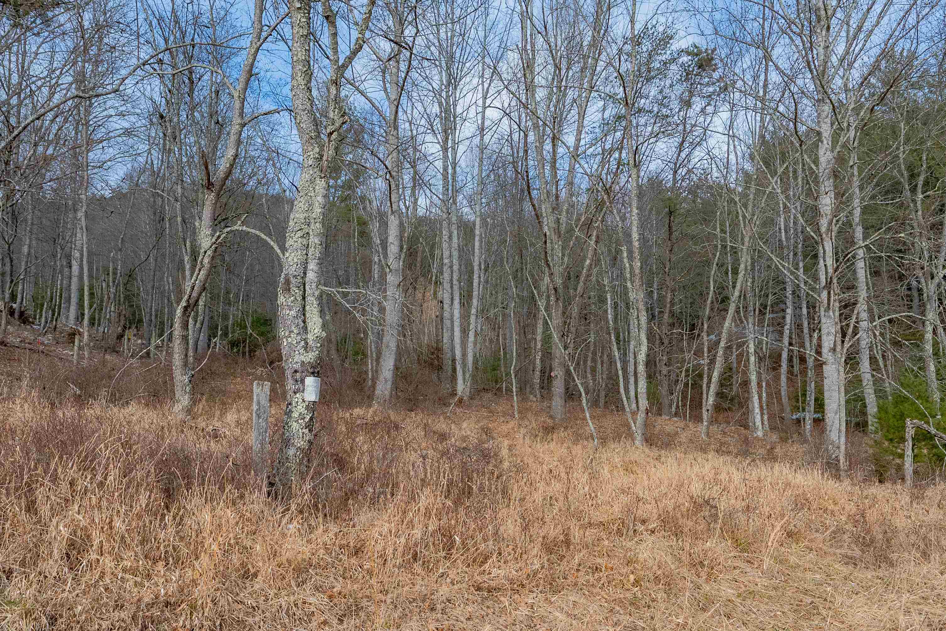 Tbd Spur Branch Road Dublin, VA 24084 - Photo 3 of 84 Gallery Image 3