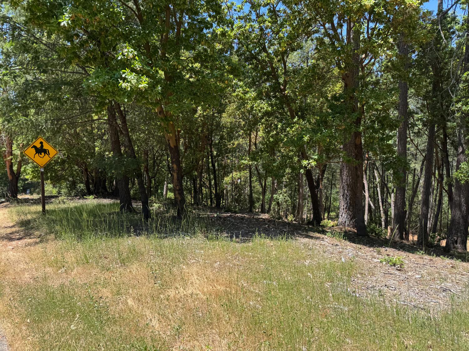 20945 Todd Valley Road Foresthill, CA 95631 - Photo 3 of 6