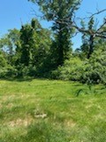 138 Crandall Road Tiverton, RI 02878 - Photo 2 of 7 Yard view