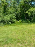 138 Crandall Road Tiverton, RI 02878 - Photo 3 of 7 Yard