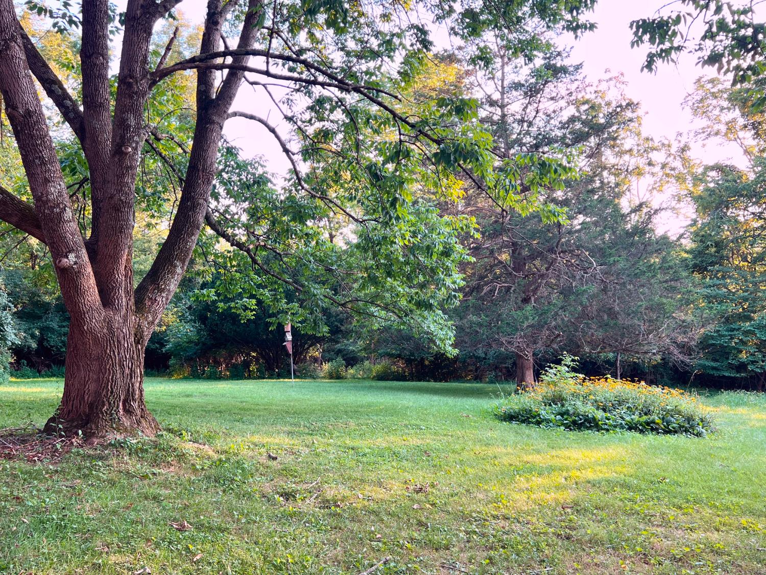 8148 Pea Ridge Road Brookville, IN 47012 - Photo 35 of 38