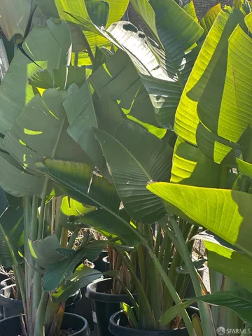 $5,975 | 480 Monterey Street, Brisbane, CA 94005