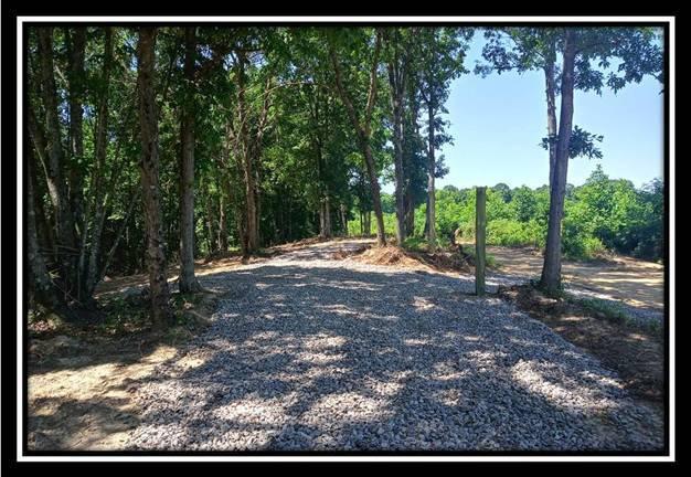 156 Fish Pond Road Vinton, OH 45686 - Photo 4 of 17