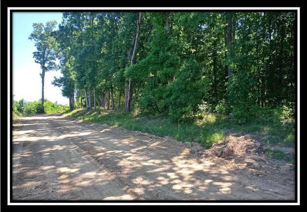156 Fish Pond Road Vinton, OH 45686 - Photo 6 of 17