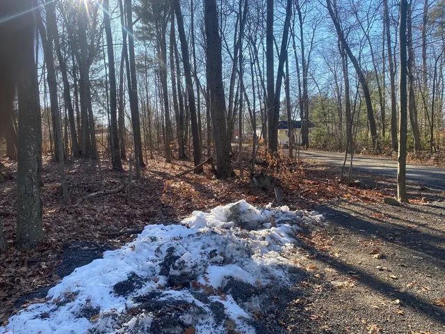 a view of three yard with trees