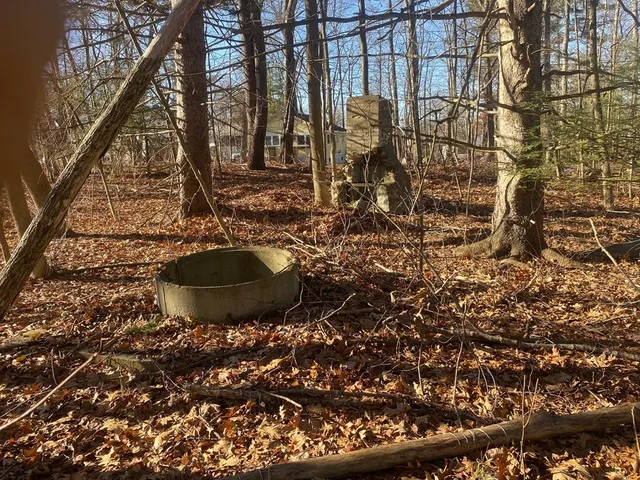a view of a backyard with trees