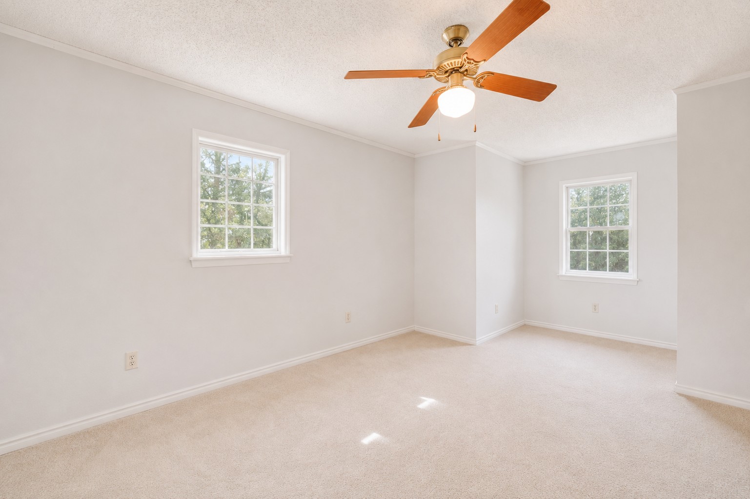153 Pleasant Grove Road Elgin, TX 78621 - Photo 16 of 30