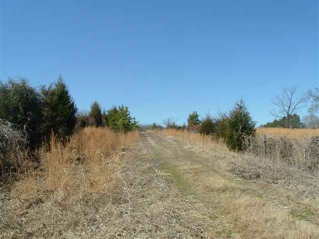 291 Boggy Branch Road Woodruff, SC 29388 - Photo 2 of 25 Gallery Image 2