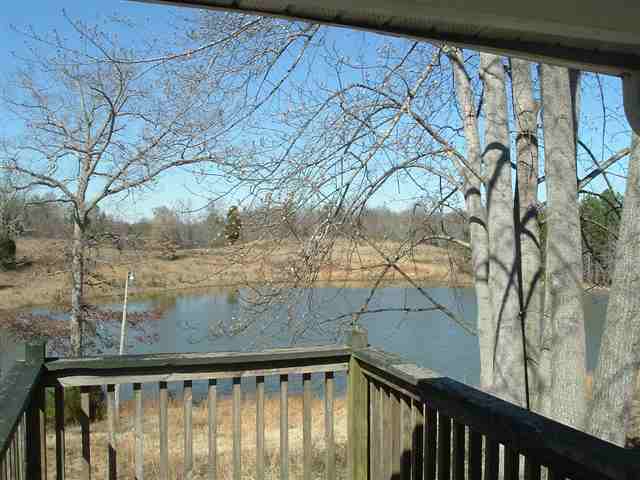 291 Boggy Branch Road Woodruff, SC 29388 - Photo 13 of 25 Gallery Image 13