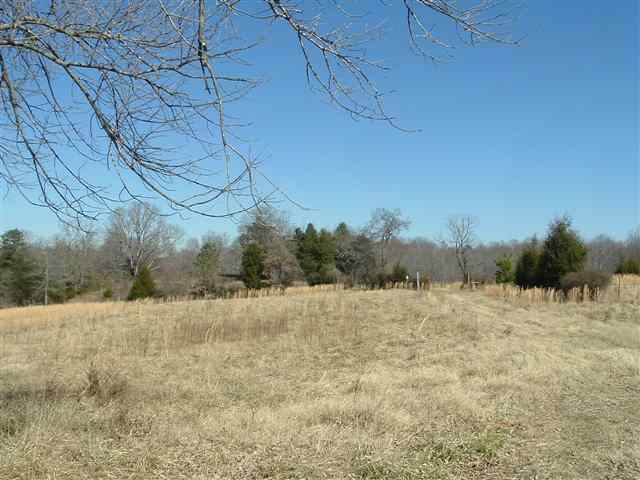291 Boggy Branch Road Woodruff, SC 29388 - Photo 25 of 25 Gallery Image 25