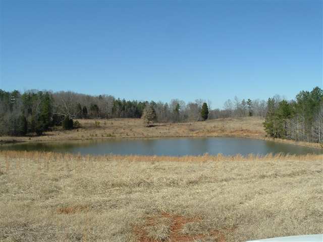 291 Boggy Branch Road Woodruff, SC 29388 - Photo 4 of 25 Gallery Image 4