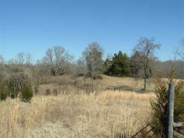 291 Boggy Branch Road Woodruff, SC 29388 - Photo 7 of 25 Gallery Image 7