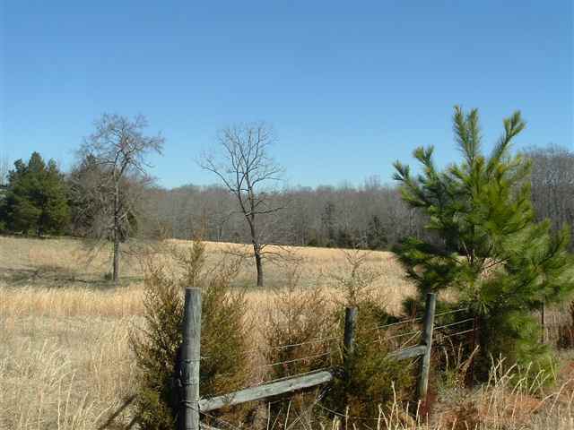 291 Boggy Branch Road Woodruff, SC 29388 - Photo 8 of 25 Gallery Image 8