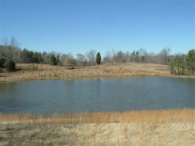 291 Boggy Branch Road Woodruff, SC 29388 - Photo 10 of 25 Gallery Image 10