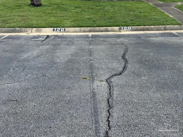a view of a park with a tree