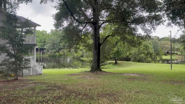 a view of a park with a tree