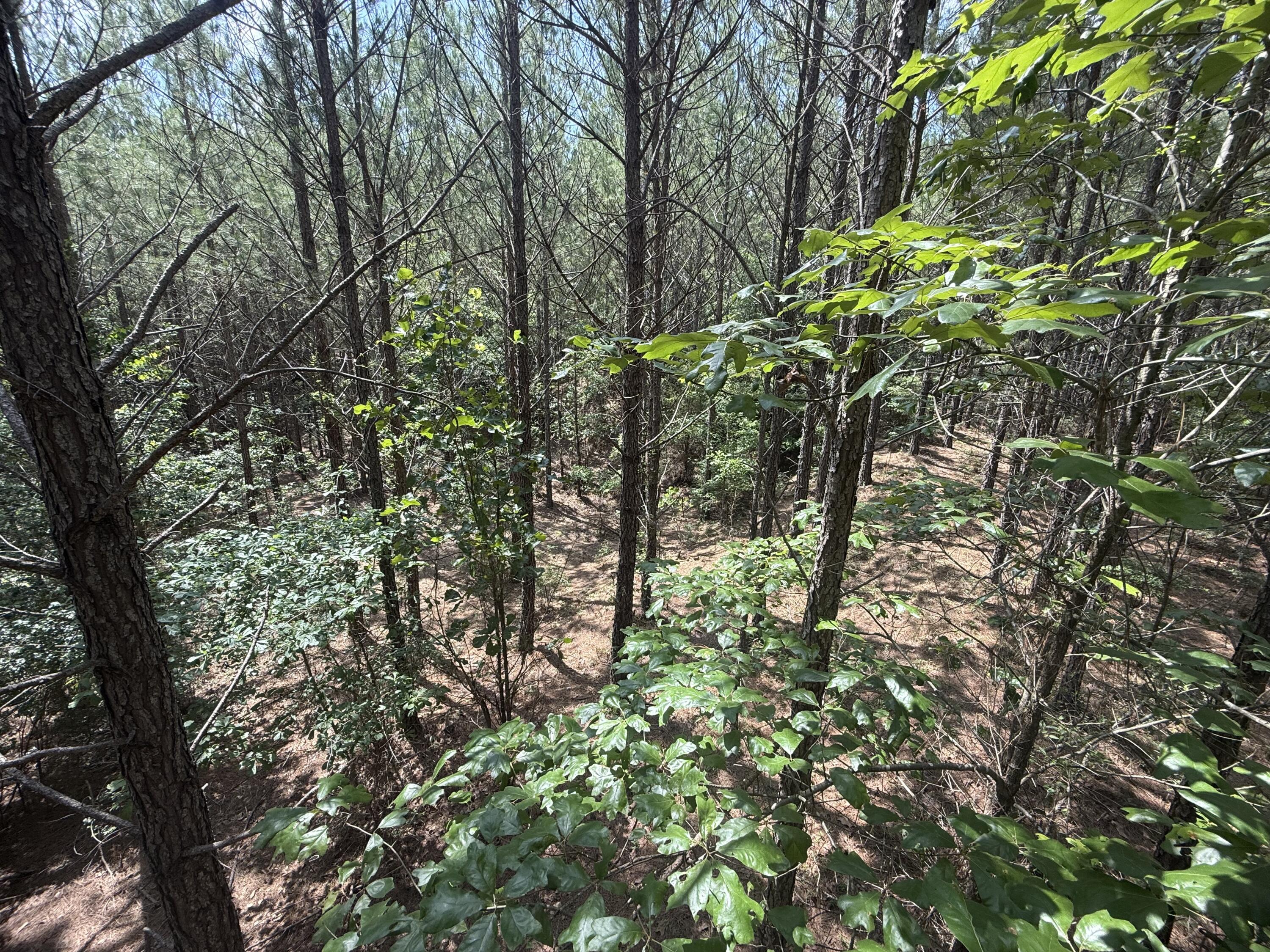 1 Old Georgetown Road West, Unit HHF 1 Kershaw, SC 29067 - Photo 4 of 8 HHF4