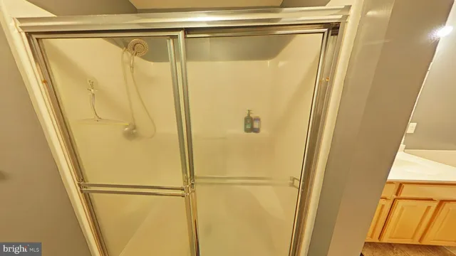 a bathroom with a shower and a sink