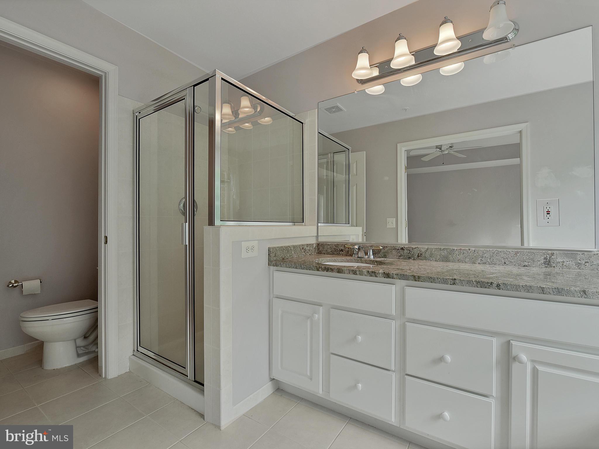 13907 Lullaby Road Germantown, MD 20874 - Photo 22 of 41 Master bath #1