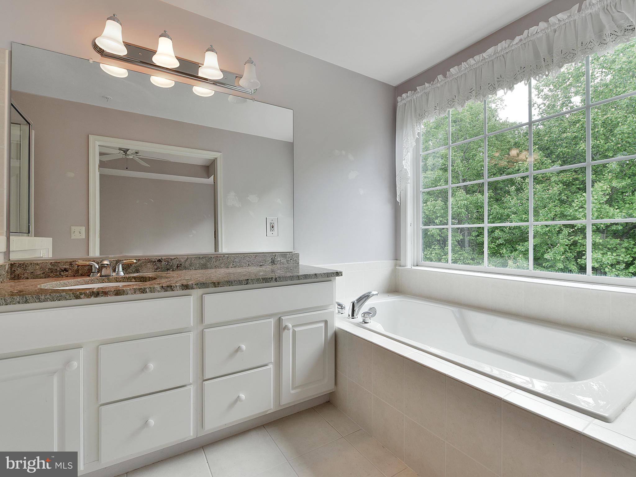 13907 Lullaby Road Germantown, MD 20874 - Photo 23 of 41 Master bath #1