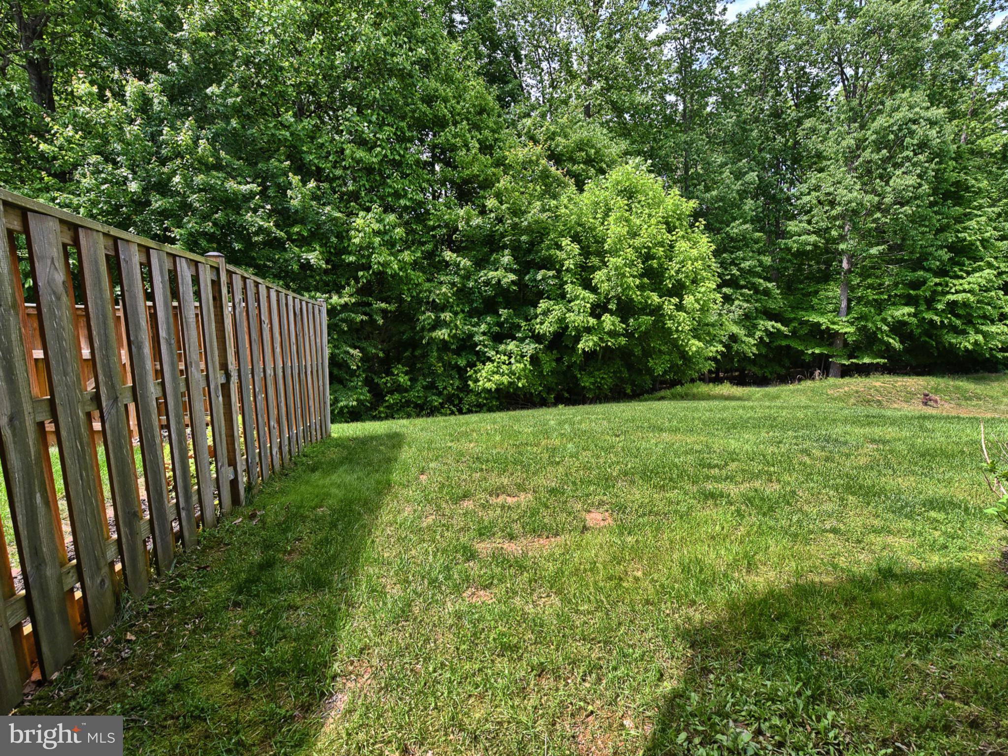 13907 Lullaby Road Germantown, MD 20874 - Photo 41 of 41 Exterior rear green space backing to woods