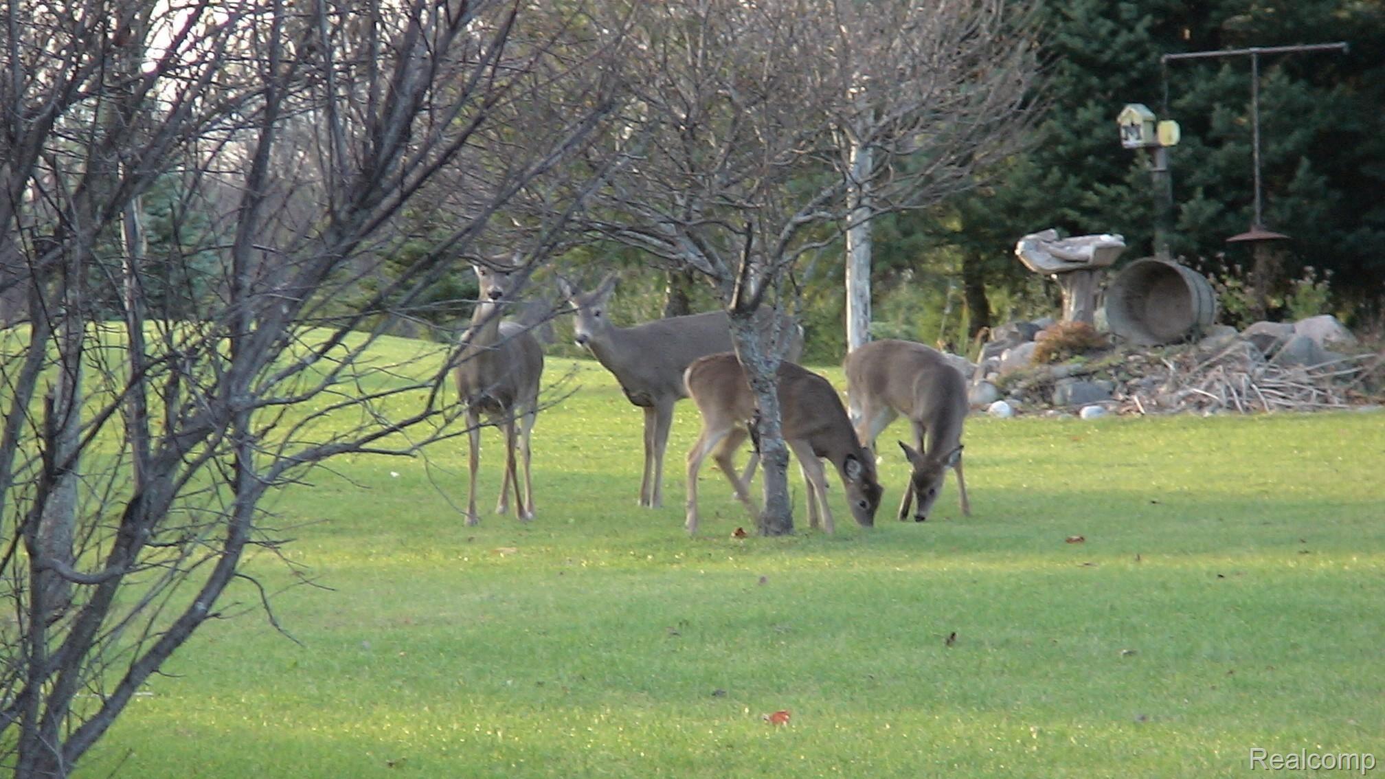13400 Center Road Bath, MI 48808 - Photo 47 of 53 DSC01063.JPG