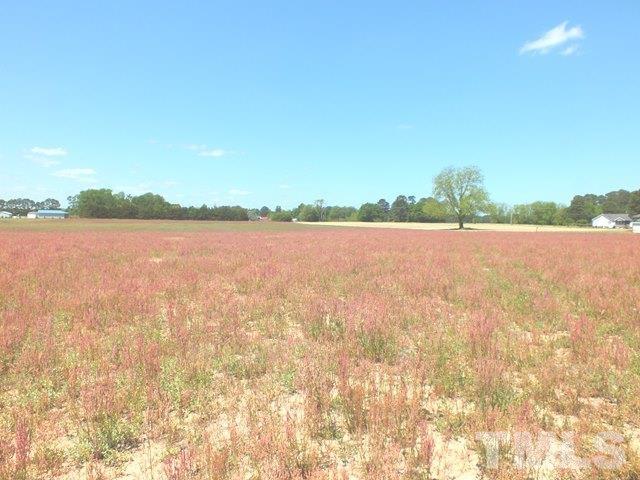 Hobson Road Dunn, NC 28334 - Photo 3 of 4 Gallery Image 3