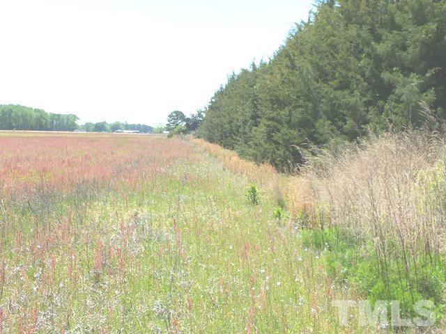 Hobson Road Dunn, NC 28334 - Photo 4 of 4 Gallery Image 4