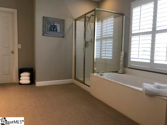308 Ascot Ridge Lane Greer, SC 29650 - Photo 19 of 28 Gallery Image 19