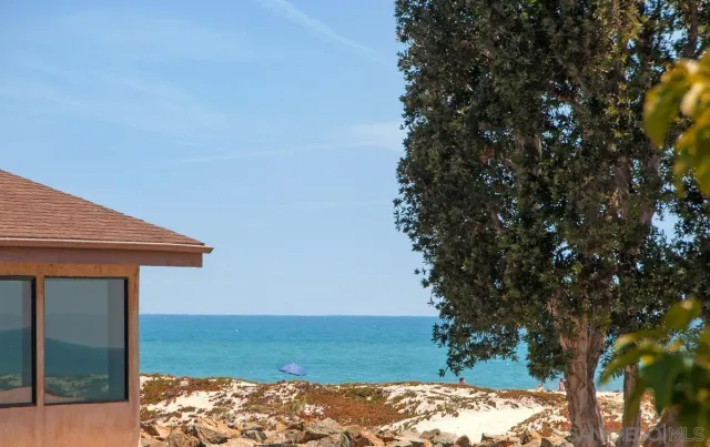 a view of a yard with large trees