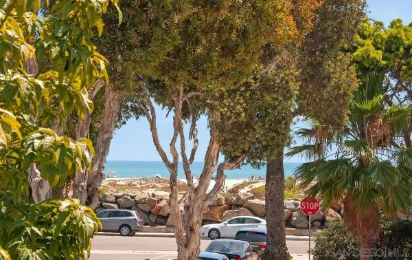 a view of a yard with plants and a bench
