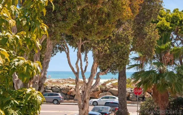 a view of a yard with plants and a bench