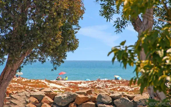 a view of swimming pool with a yard