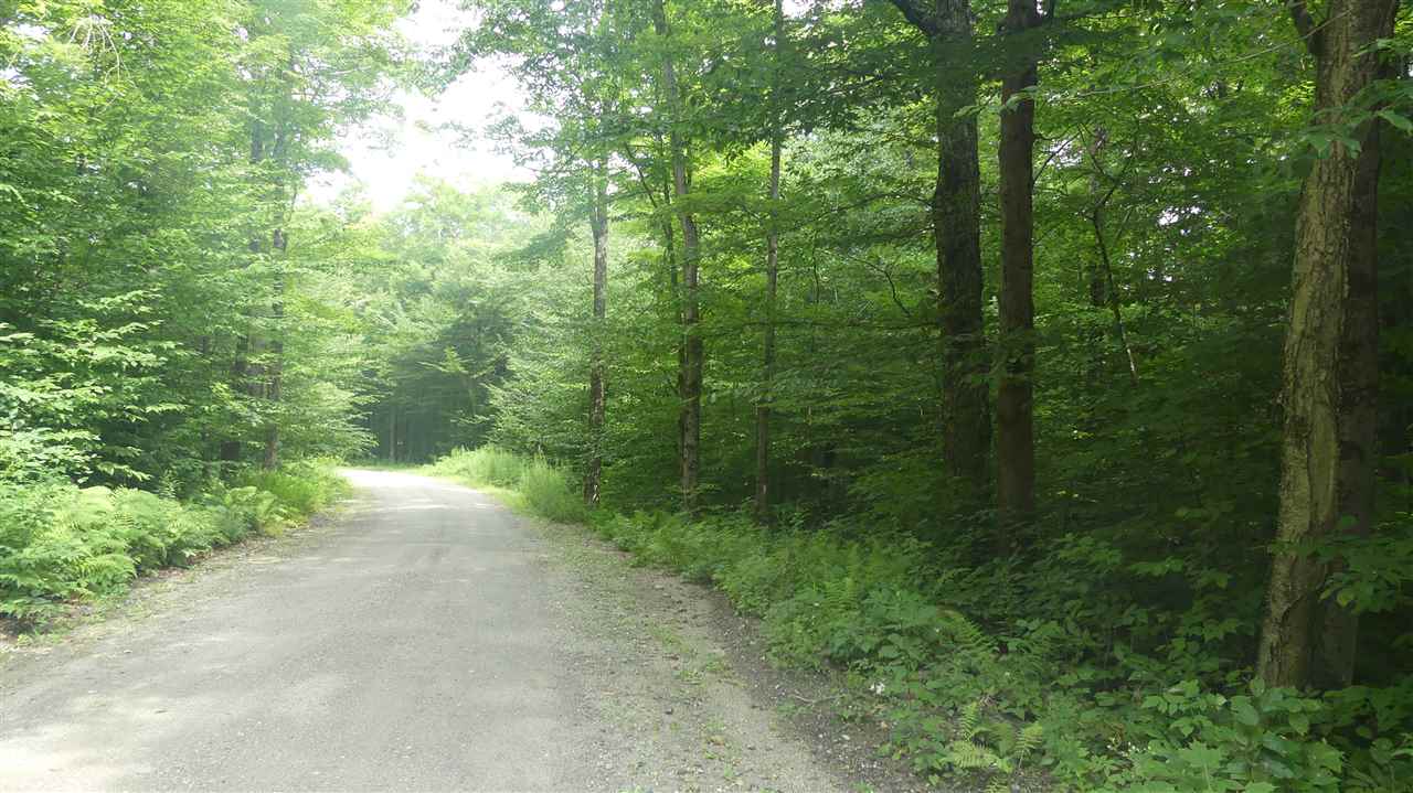 131 Phillips Hill Road Halifax, VT 05342 - Photo 1 of 2