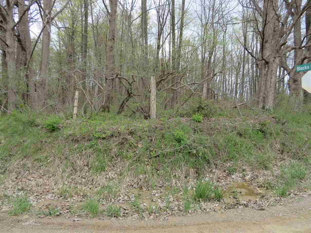 0 Wagner Road Imlay City, MI 48444 - Photo 3 of 6