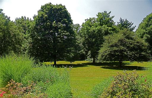 1751 Firth Road Inverness, IL 60067 - Photo 9 of 9 a view of a park with large trees