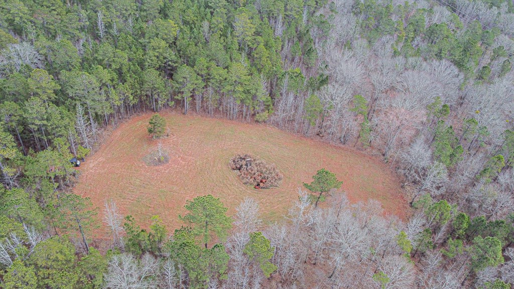 0 Irvin Road Shiloh, GA 31826 - Photo 26 of 46 Gallery Image 26