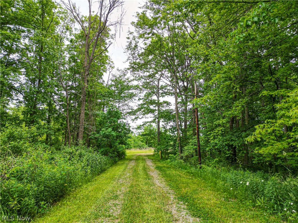 1010 Us Route 6 Rome, OH 44085 - Photo 15 of 37
