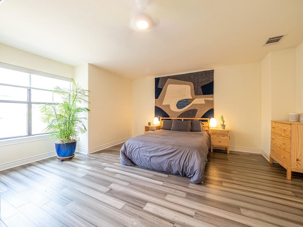 3609 Clawson Road, Unit B Austin, TX 78704 - Photo 12 of 28 Spacious room featuring wood-finish flooring, a large window with white trim, and a ceiling-mounted light fixture