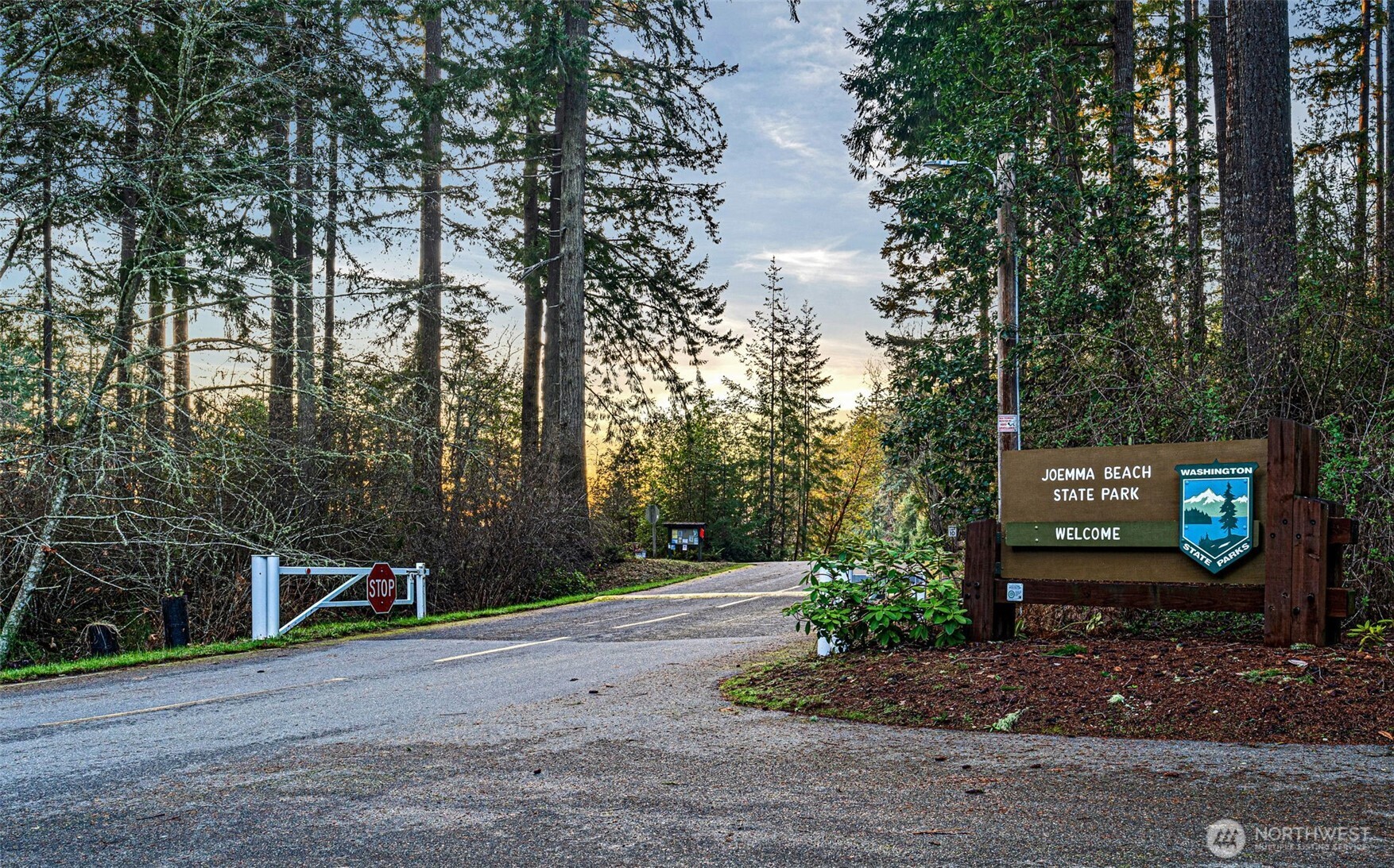 45 Whiteman Road Southwest Lakebay, WA 98351 - Photo 3 of 15 a childrens park with lots of trees and plants